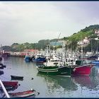 Puerto pesquero de Bermeo