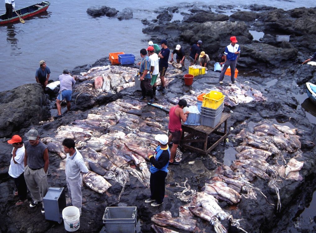 Puerto pesquero de Santa Rosa, cerca de Salinas (Ecuador)