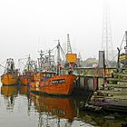 puerto quequen,lanchas pesqueras