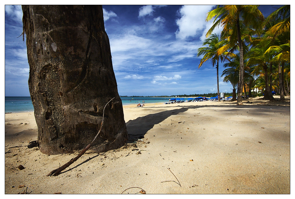 Puerto Rican Beach