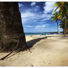 Puerto Rican Beach