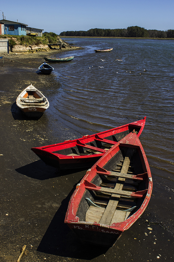 Puerto Saavedra, Temuco.