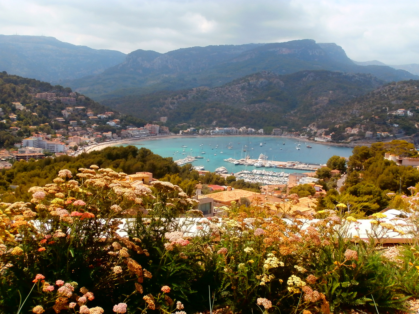 PUERTO SOLLER VISTA DE PAJARO