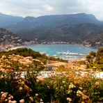 PUERTO SOLLER VISTA DE PAJARO