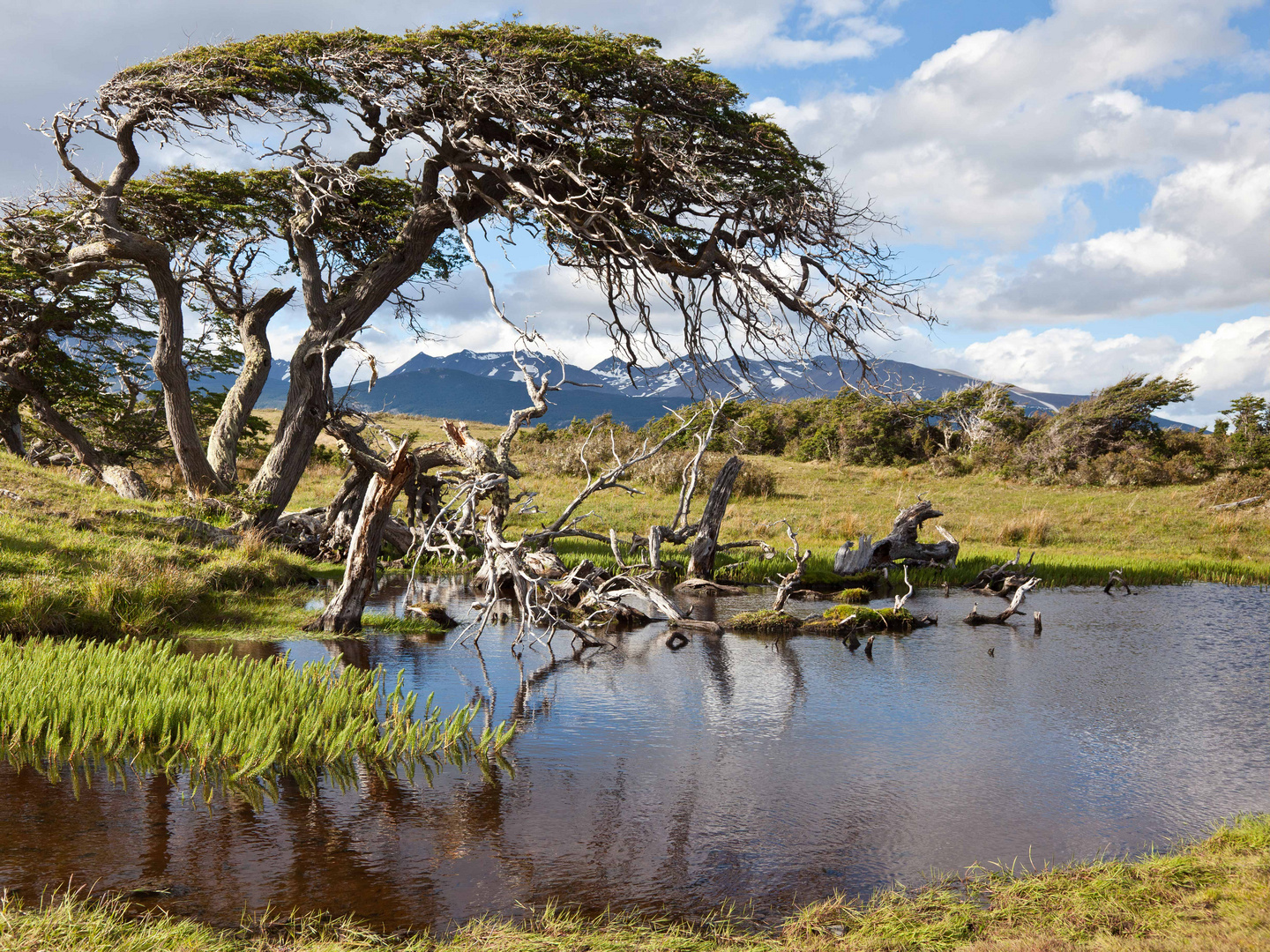 Puerto Williams