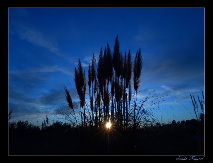 Puesta de Sol Adornada