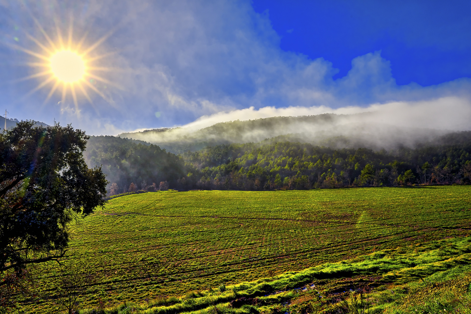 Puesta de sol con niebla