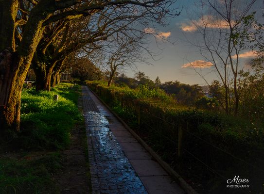 Puesta de sol de Febrero.
