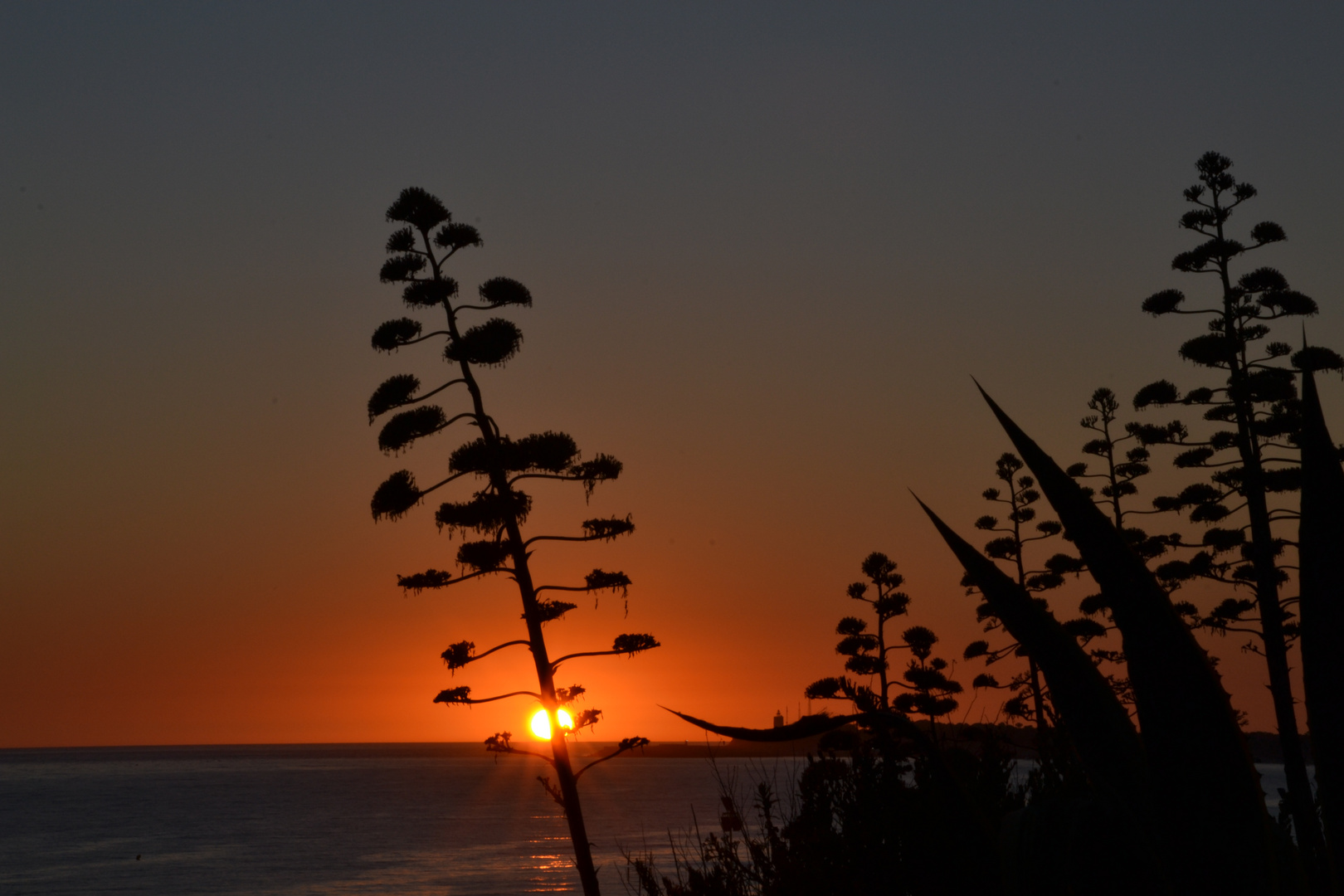 Puesta de sol en Conil, Cadiz.