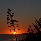 Puesta de sol en Conil, Cadiz.