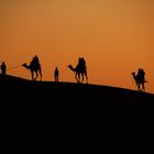 Puesta de sol en el desierto de thar