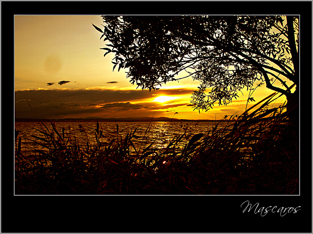 Puesta de sol en la Albufera