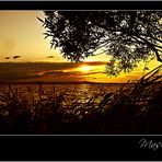 Puesta de sol en la Albufera