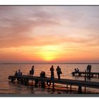 puesta de sol en la albufera II