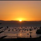 Puesta de sol en la Bahía de Tongoy - Chile