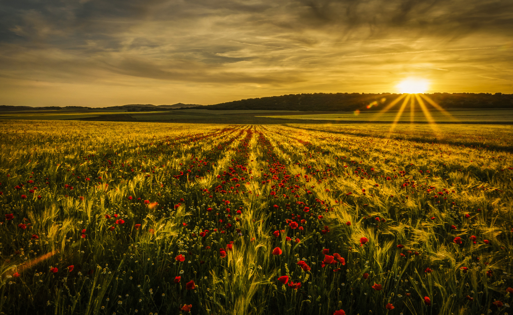 Puesta de Sol en Madridejos