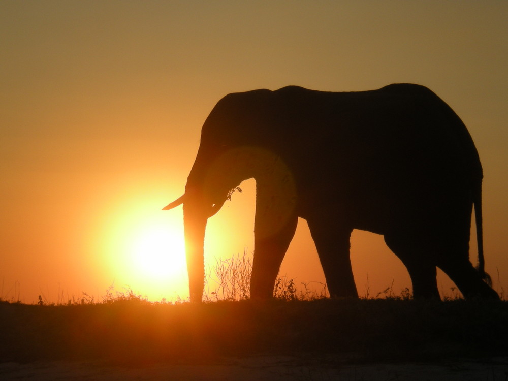 Puesta de sol África 2