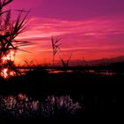 Puesta del Sol en S'Albufera