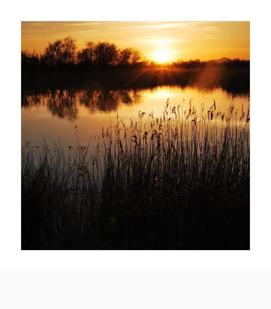 puesta sol en las Tablas de Daimiel