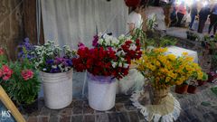 Puesto de flores en San  Rafael