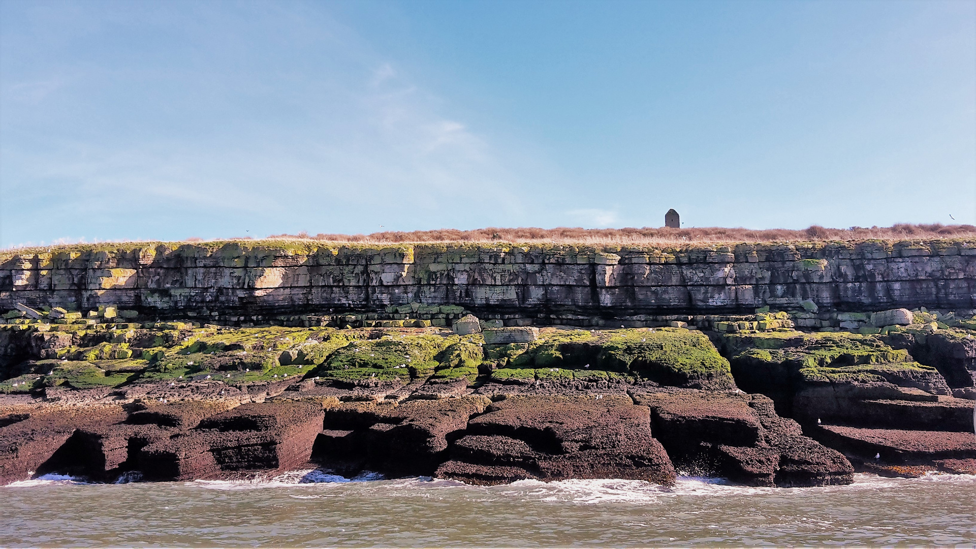 Puffin Island