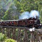 Puffing Billy