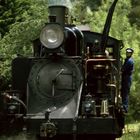 Puffing Billy Gets Water