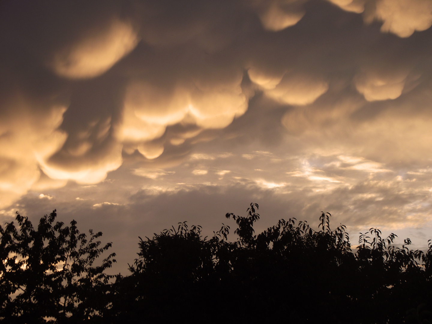 puffy clouds