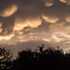 puffy clouds