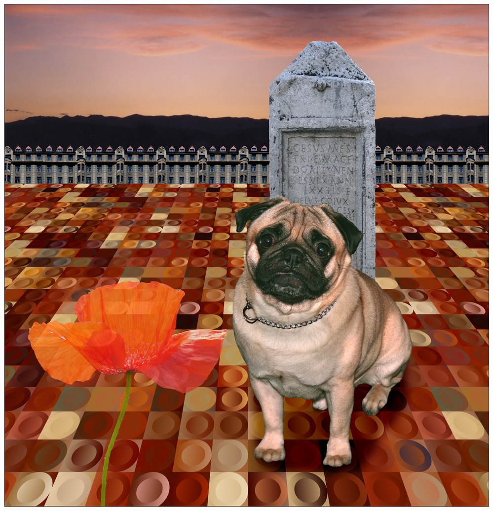 Pug Dandy In The Future Town