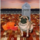 Pug Dandy In The Future Town