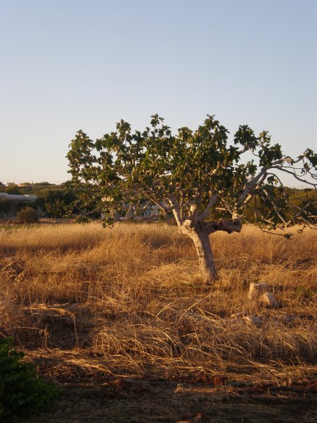 Puglia