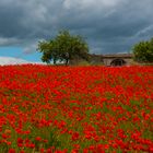 Puglia dettagli 1