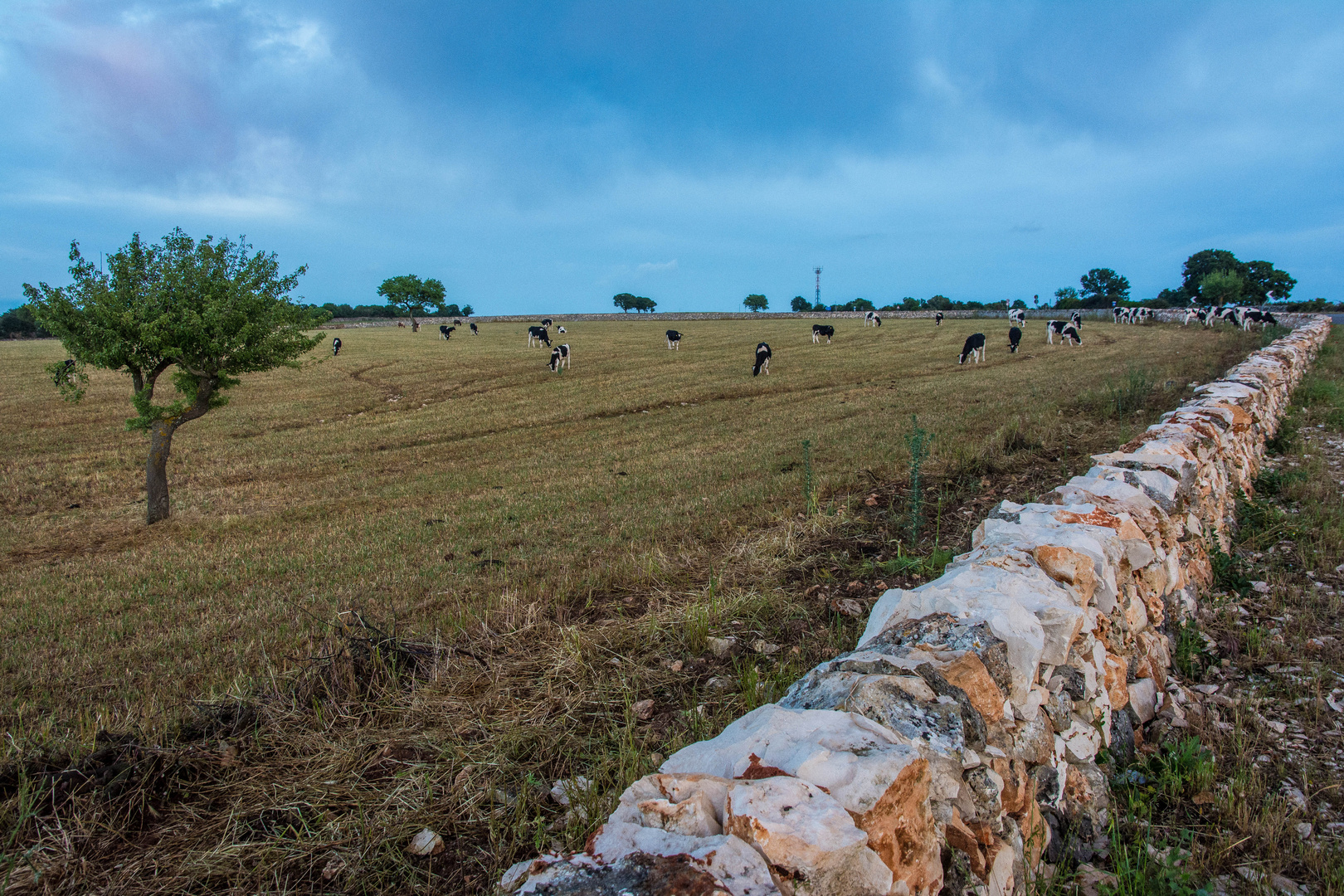 Puglia sorprendente...