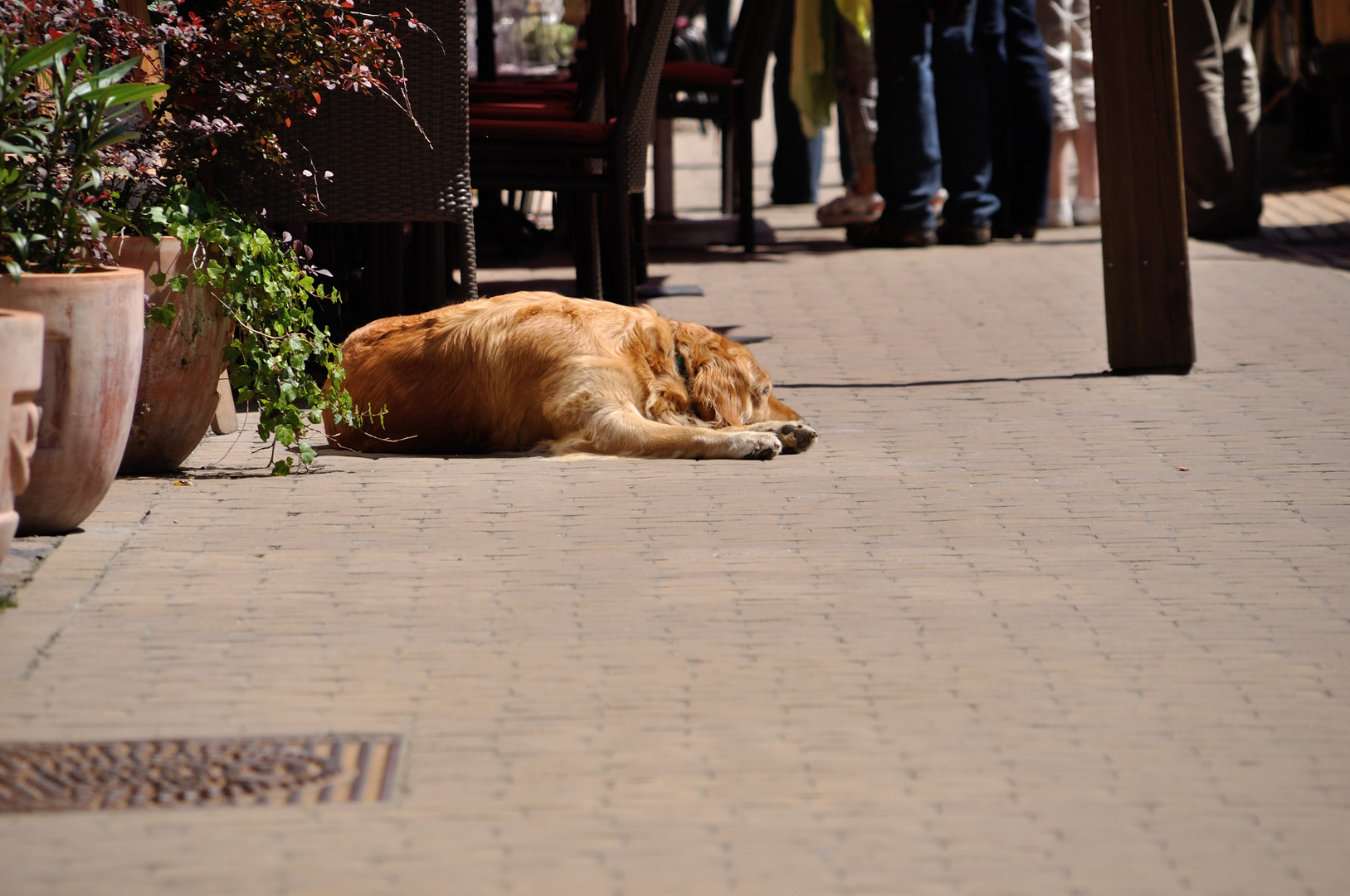 Puhh.... was für Hundstage... just relax