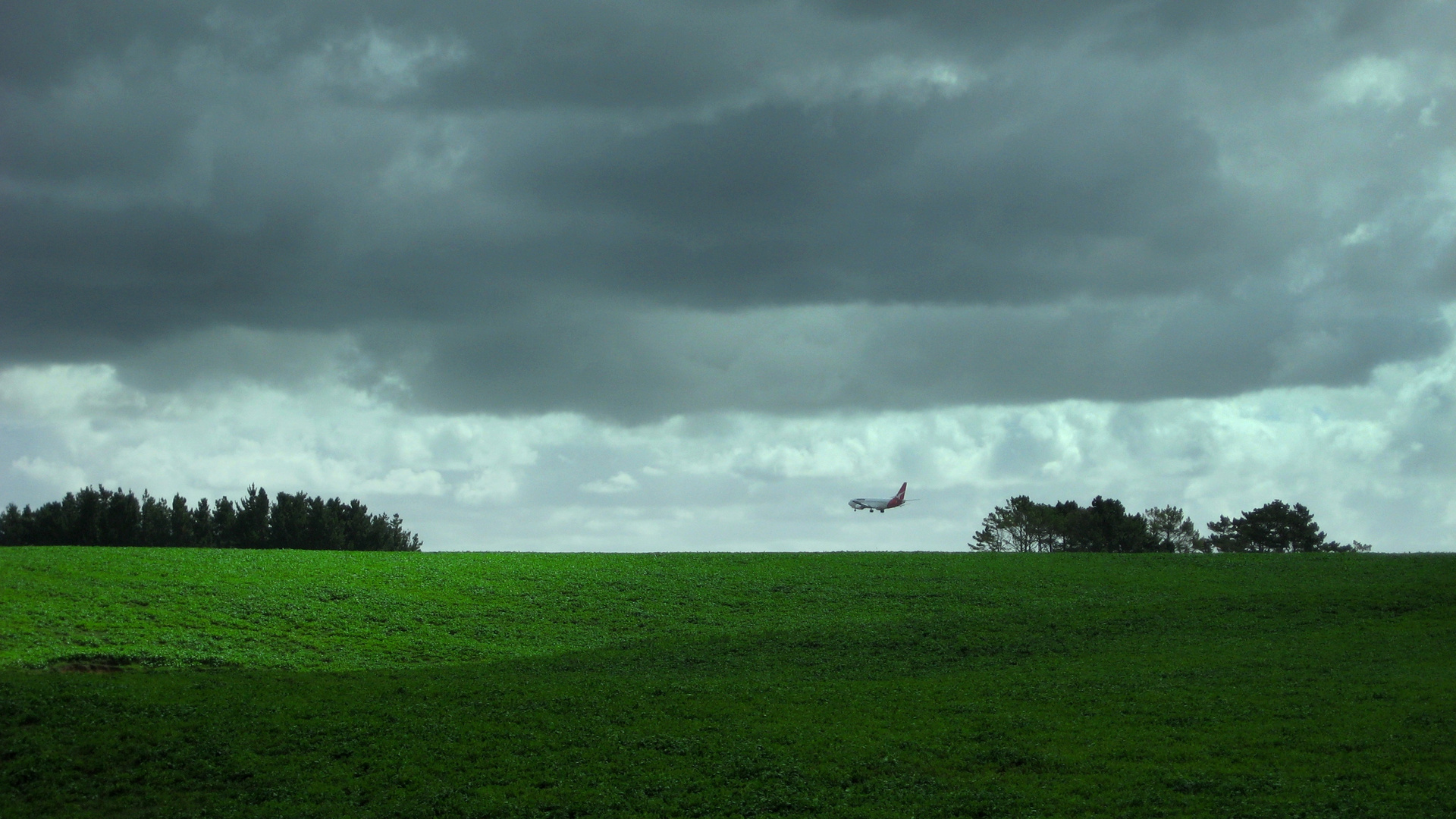 Puhinui Reserve - Plane Landing