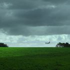 Puhinui Reserve - Plane Landing