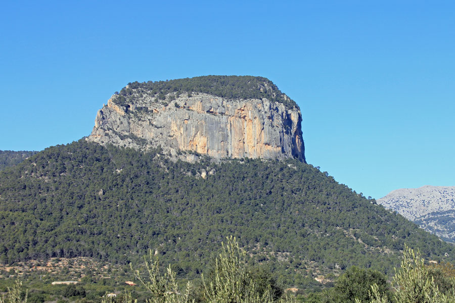 Puig d'Alaro