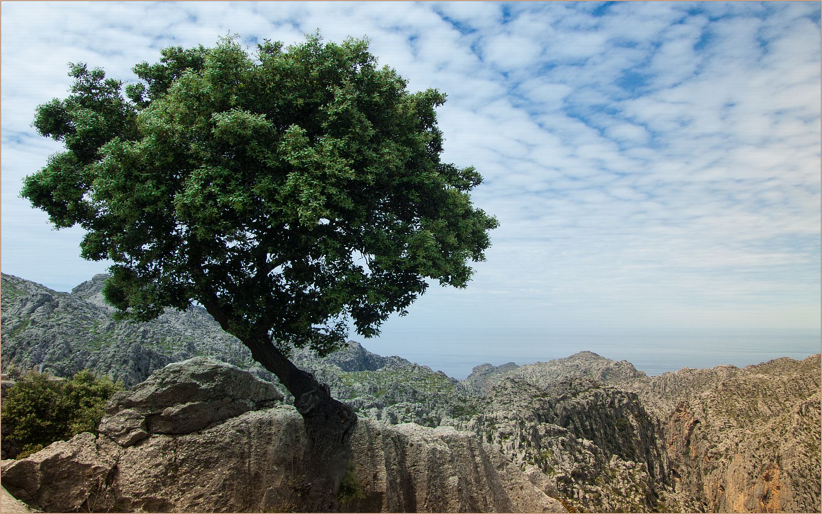 Puig del Teix