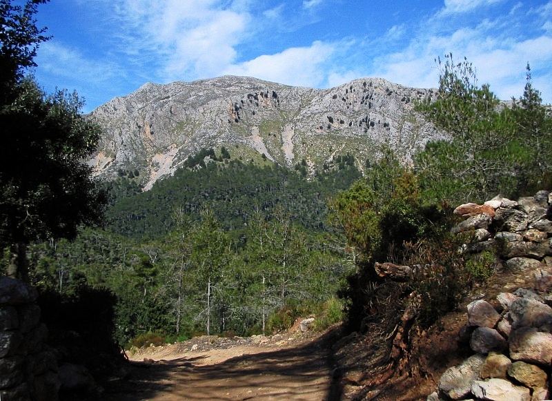 Puig Tomir (1103m)