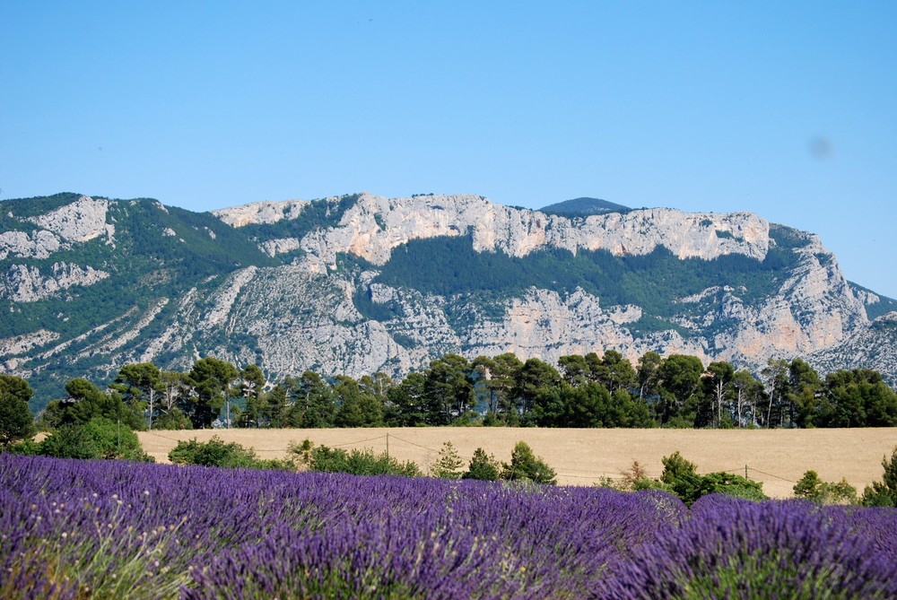 Puimoisson. (Les alpes de haute provence)