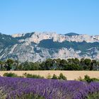 Puimoisson. (Les alpes de haute provence)