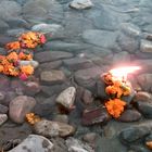 Puja / Ganges / Rishikesh