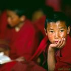 Puja in Ladakh (Himalaya)