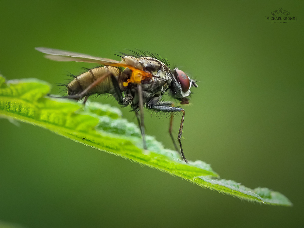45+ Wahrheiten in Aldi Talk Puk Verloren? Maybe you would ...