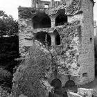 Pulferturm Schloss Heidelberg - BW - ANALOG