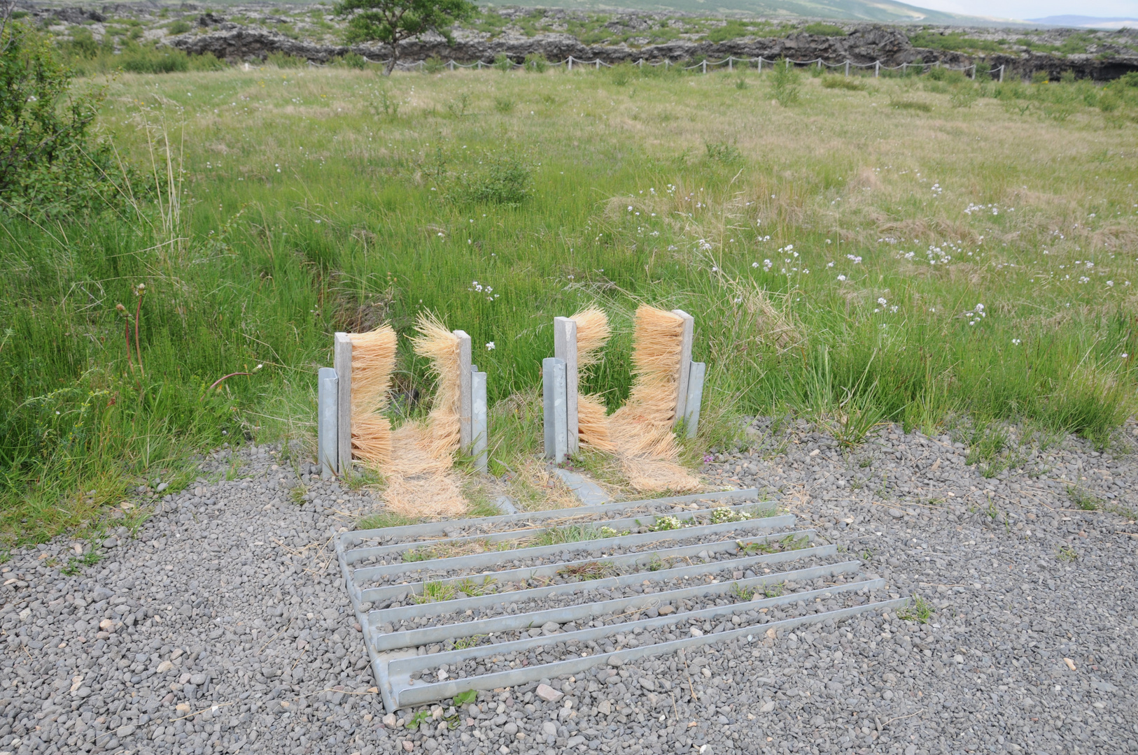 pulisci scarpe in campagna