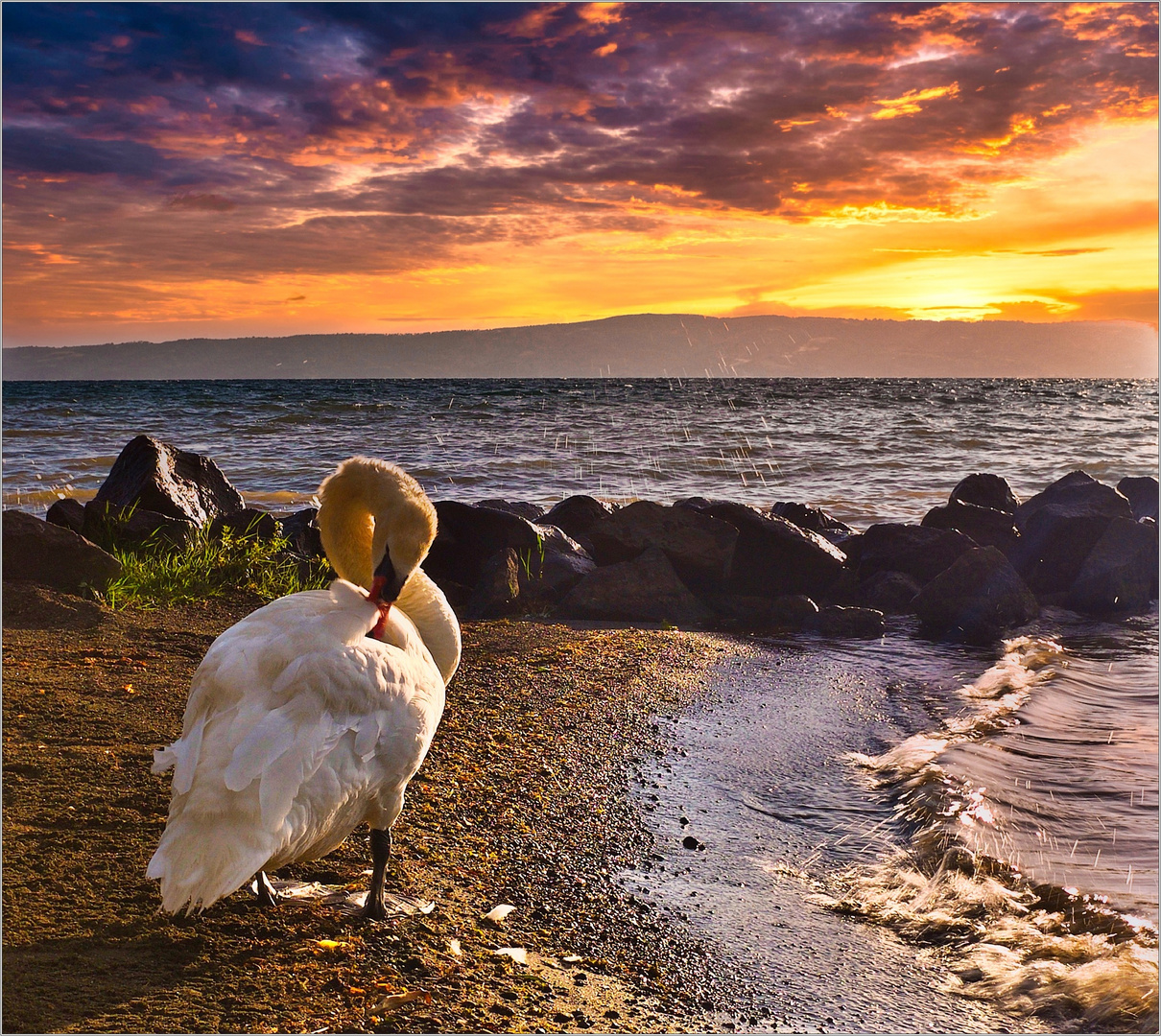 Pulizie alla luce del tramonto.