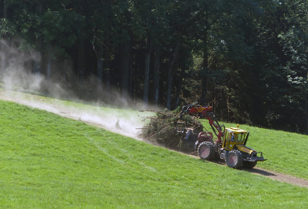 Pullen bei 35 Grad