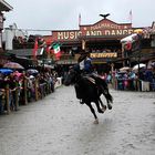 Pullman City